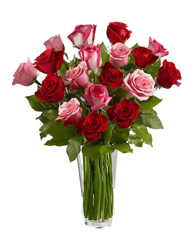 Romance Flowers