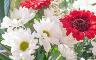 Thanksgiving Flowers