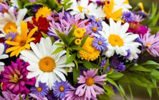 Maher's Florist Offers Labors Day Flowers and Plants LOCAL SAME DAY & EXPRESS flower DELIVERY