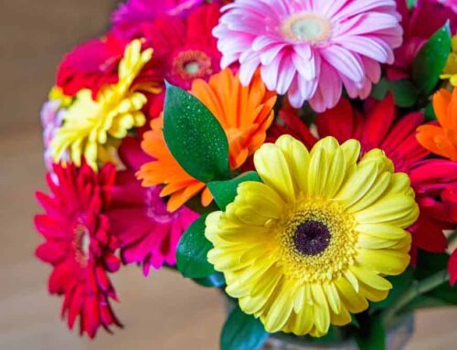 Chesapeake High School in Pasadena is Offered Same-Day Flower Delivery from Maher’s Florist