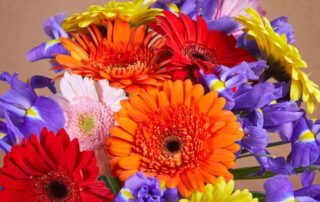 Maher's Florist Provides Beautiful Flowers for Bosses Day and Sweetest Day