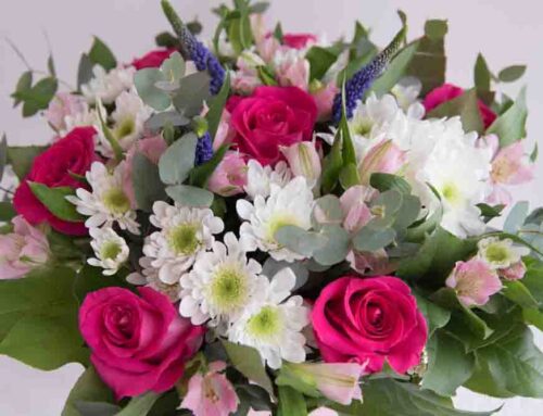 Maher’s Florist Offers Reliable Flower Delivery to the Rivera Beach Maryland Community