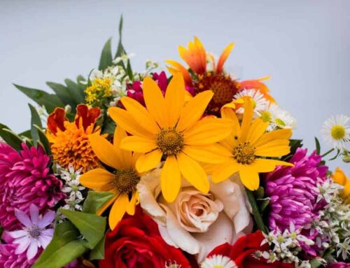 Maher’s Florist offers Arnold Maryland Flower Delivery for Thanksgiving and All Occasions