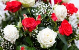 Bouquet of red and white roses. The gift for a woman for Valentine's Day.