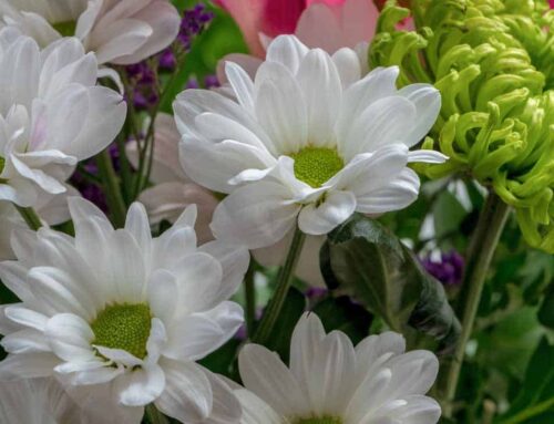 Sympathy Flowers are Meant to Express Heartfelt Condolences During Difficult Times