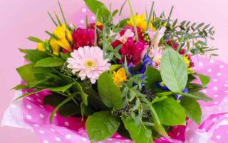 Spring Flower and Plant Arrangement