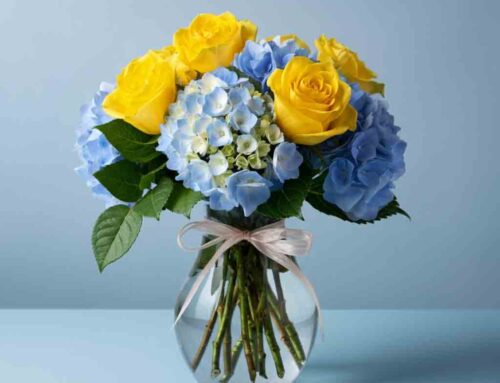 Summer Flowers Are Perfect for Brightening any Occasion