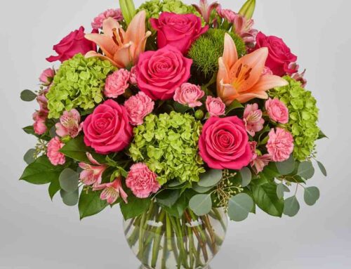 New Baby Flowers – Hospital Delivery