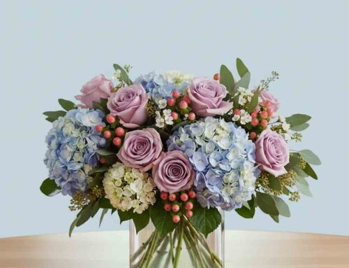 Just Because Flowers and Plants – Church Delivery