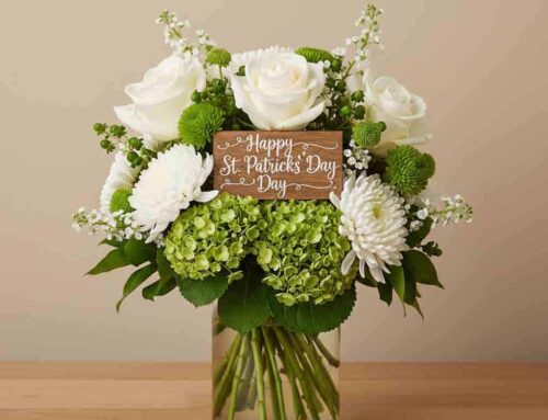 St. Patrick’s Day Flowers and Plants – School Delivery