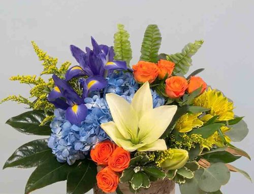 Get-Well Flowers – Hospital Delivery 5