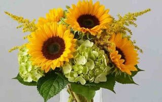 Sunflowers