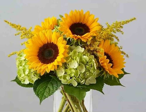 Labor Day Flowers – City Delivery