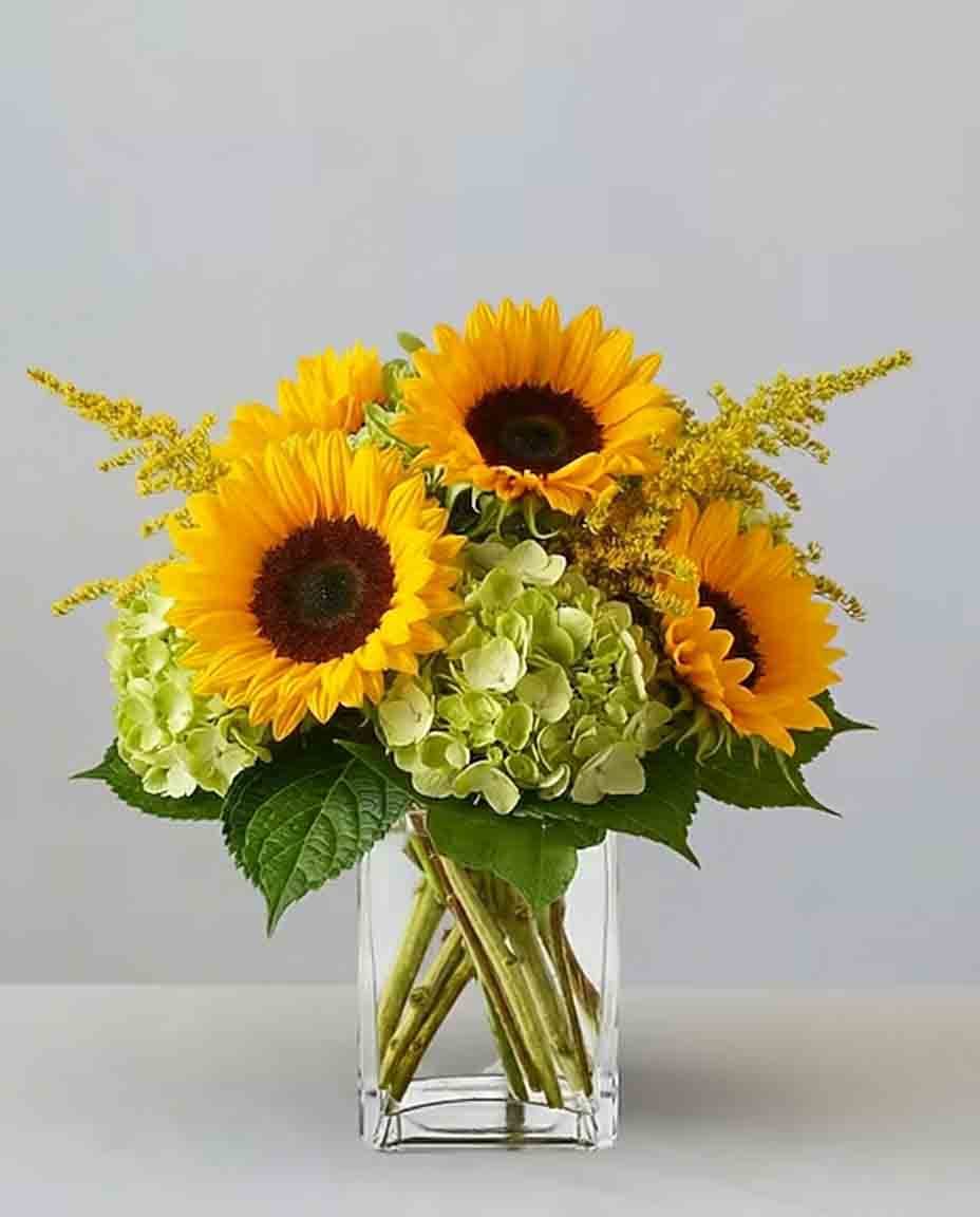 Sunflowers