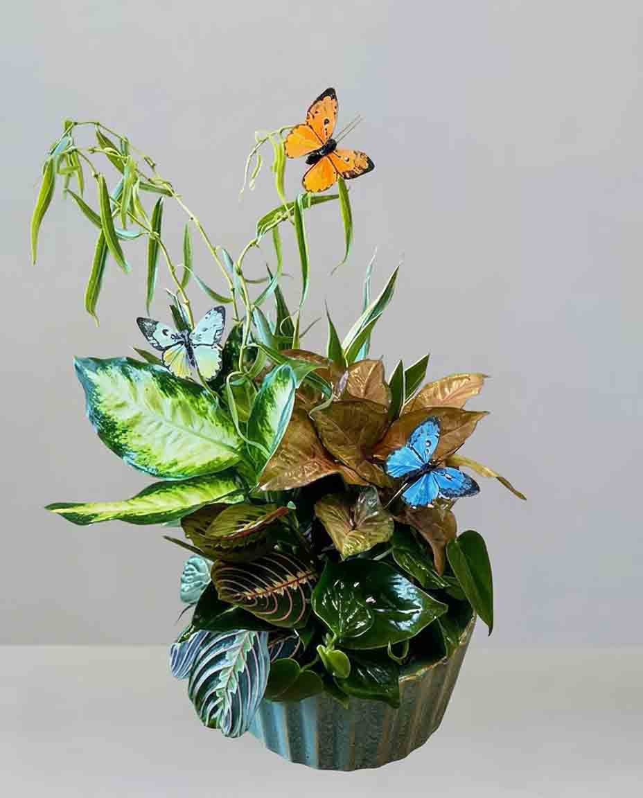 Live Plant Dish